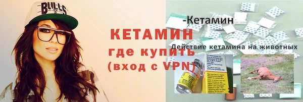 стафф Богданович