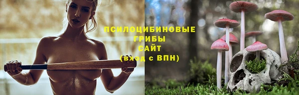 амф Богородицк