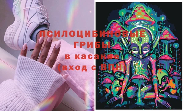 гидропоника Братск