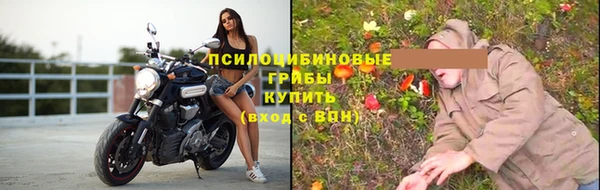 стафф Богданович