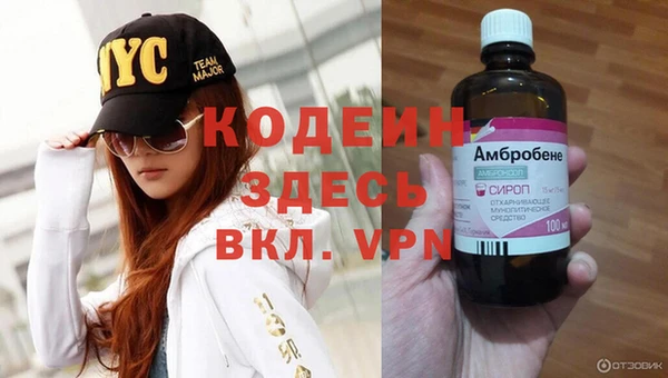 mdpv Бородино