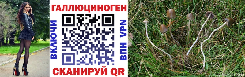 Галлюциногенные грибы MAGIC MUSHROOMS  Верхняя Тура 